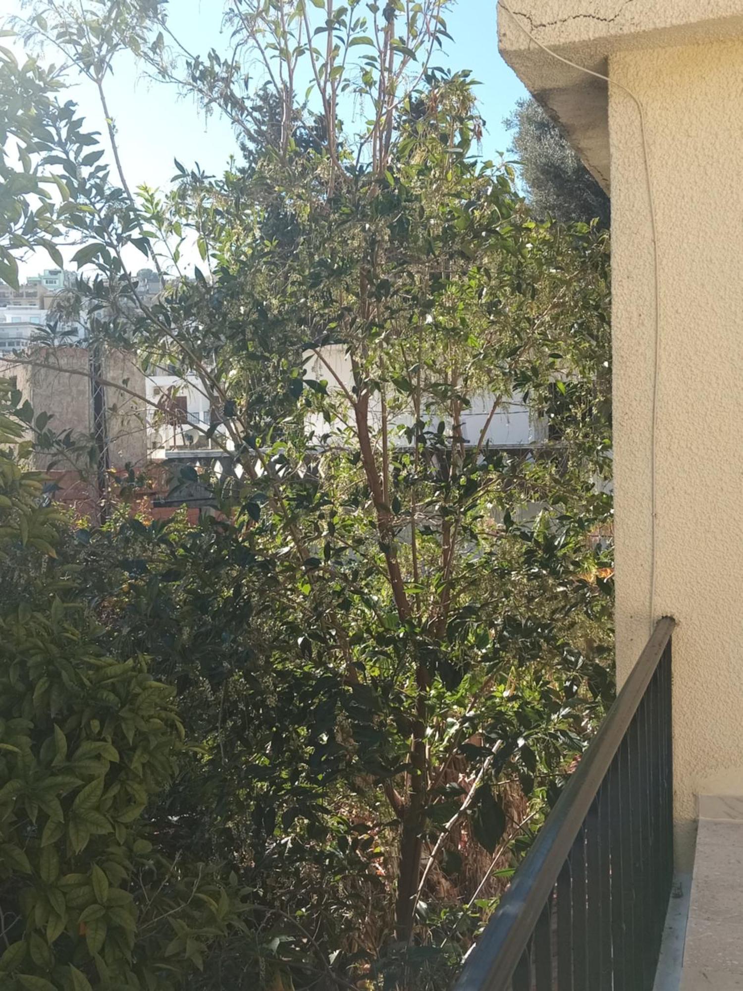 Maison De Vacances Табарка Екстериор снимка